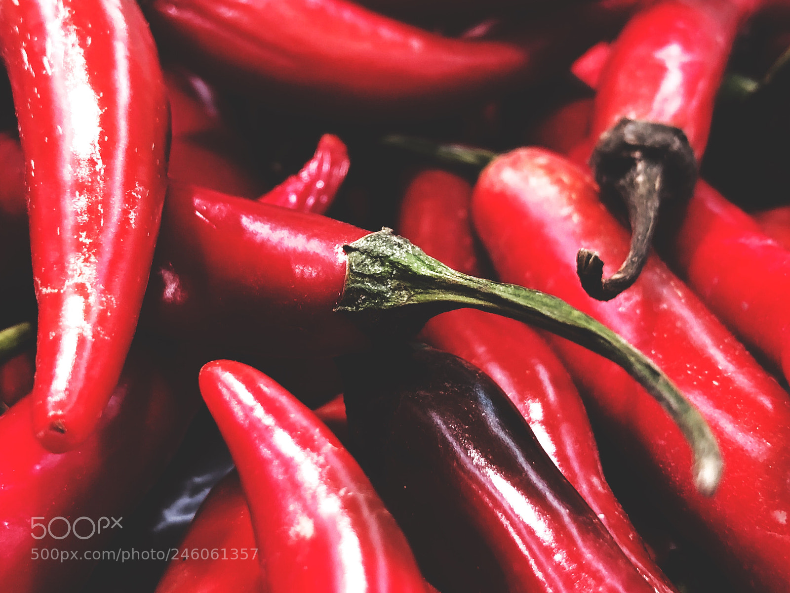 Apple iPhone X sample photo. Chili ? photography