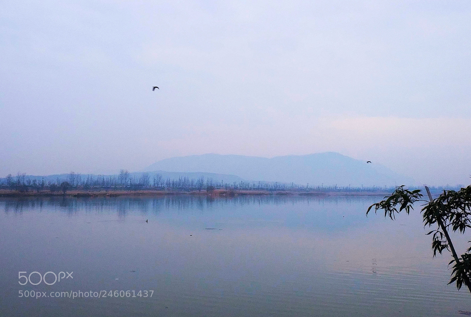 Xiaomi MIX 2 sample photo. River of  city 3 photography