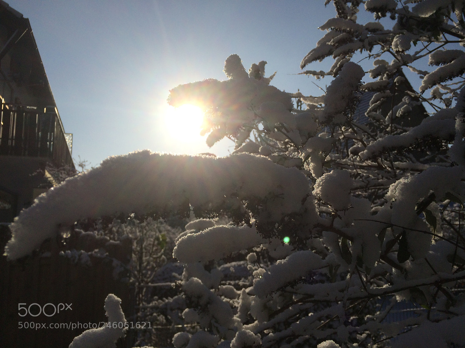 Apple iPhone 5s sample photo. Wintermorgen photography