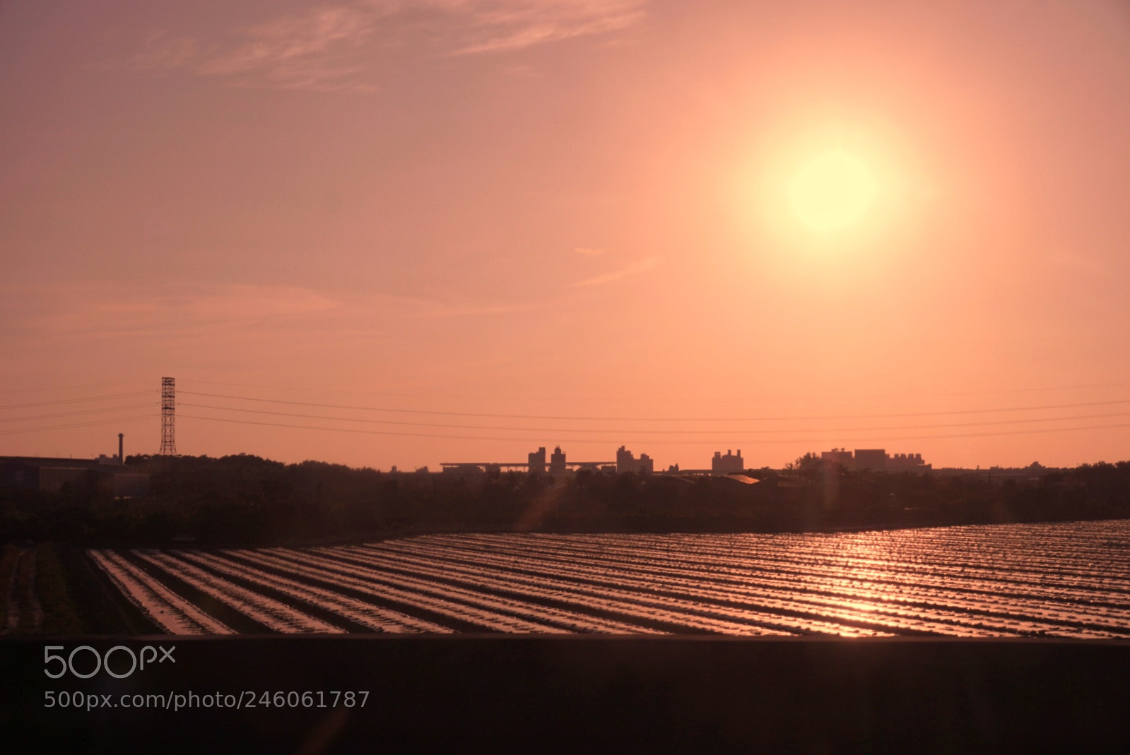 Sony ILCA-77M2 sample photo. Go home photography