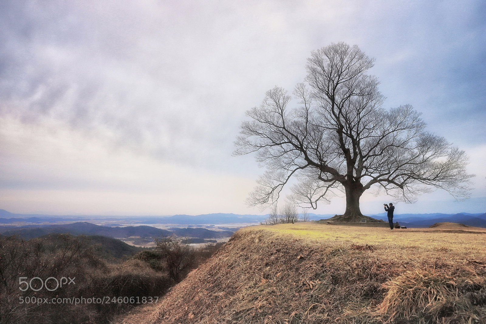 Canon EOS 6D Mark II sample photo. On hill top photography