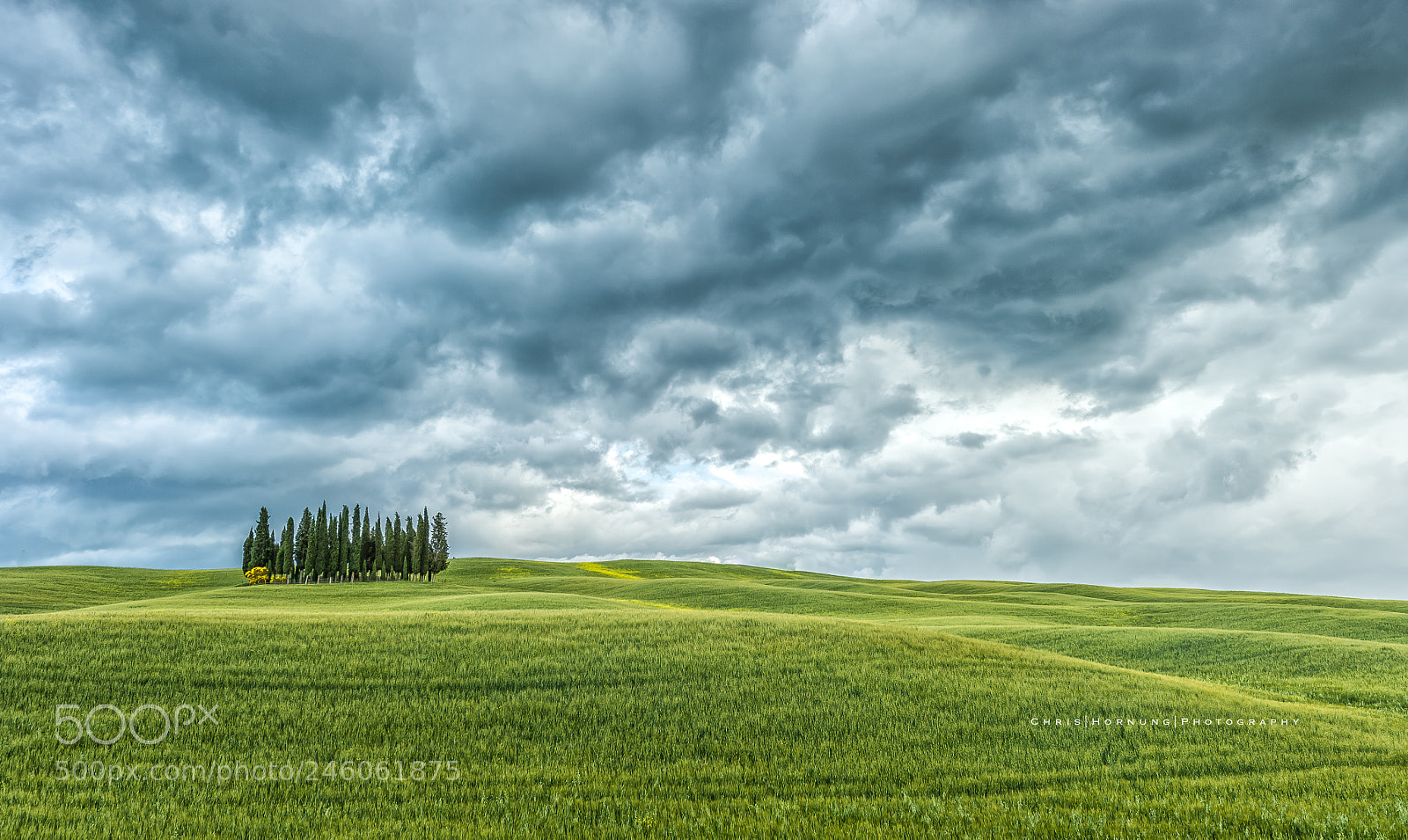 Nikon D4 sample photo. Tuscany photography