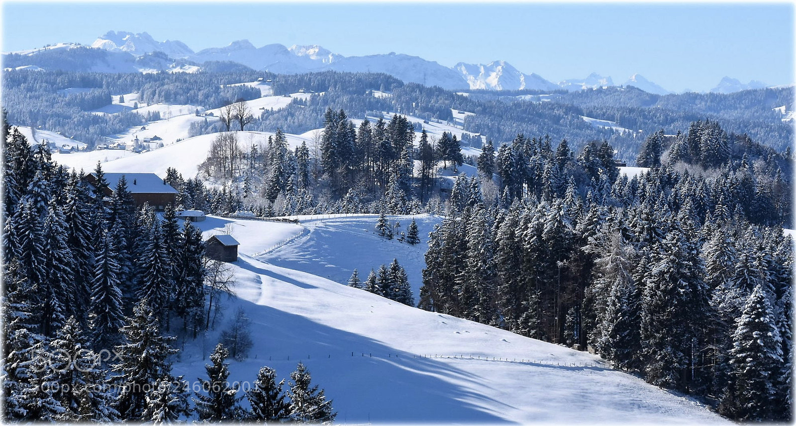 Nikon D7200 sample photo. "fancy wintertime" photography