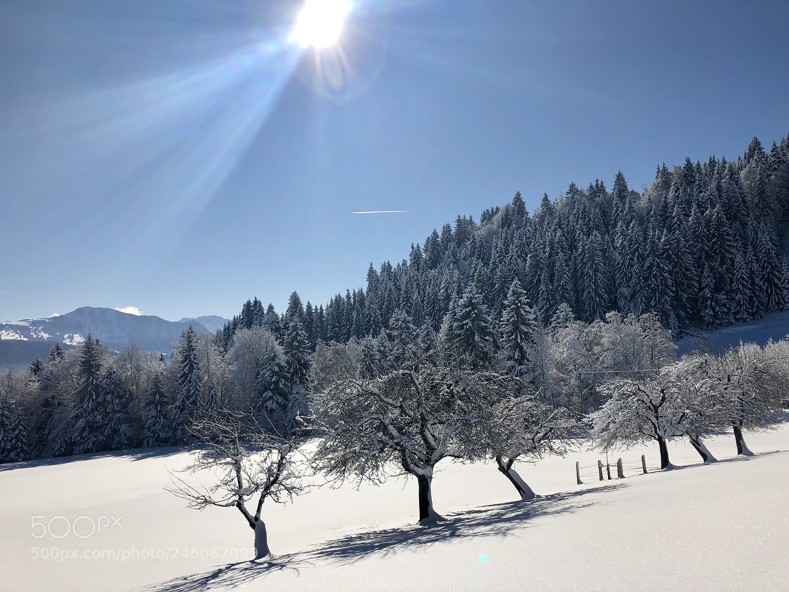 Apple iPhone X sample photo. Untitled photography