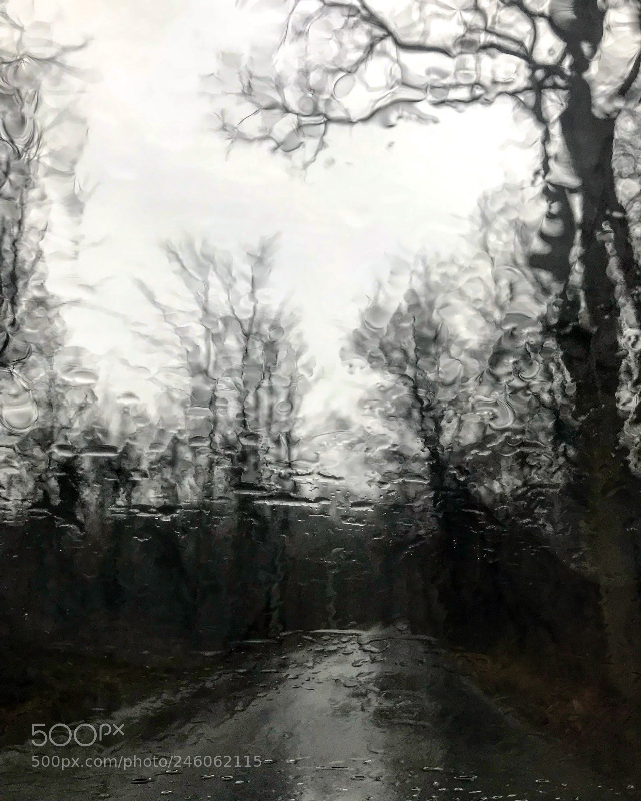 Apple iPhone 7 sample photo. Winter be good! photography
