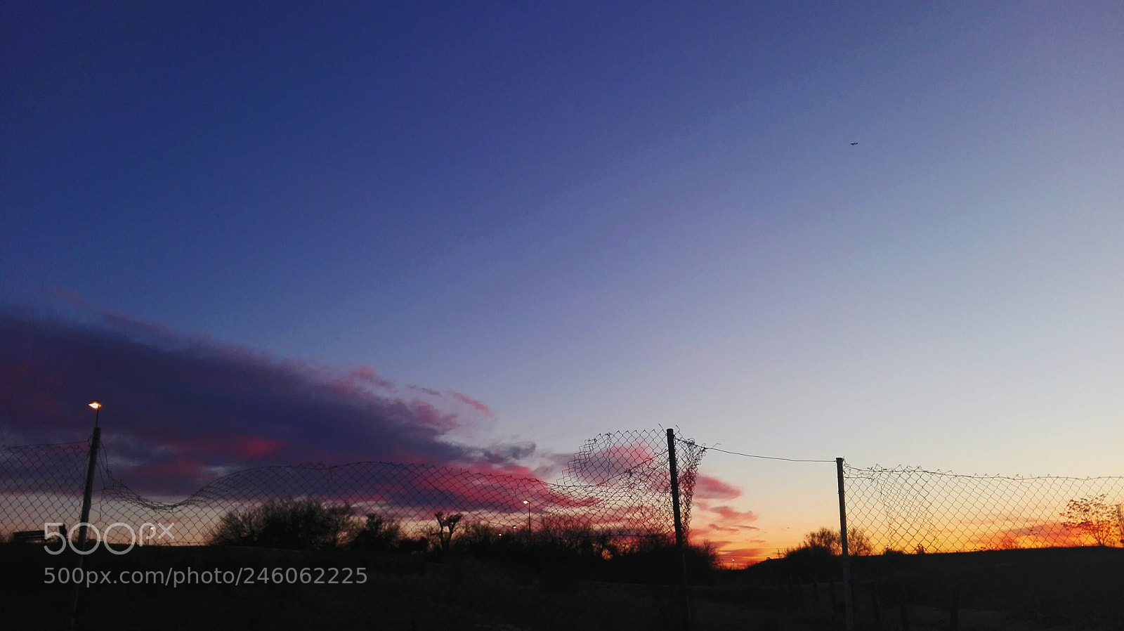 HUAWEI P8 Lite sample photo. ? photography