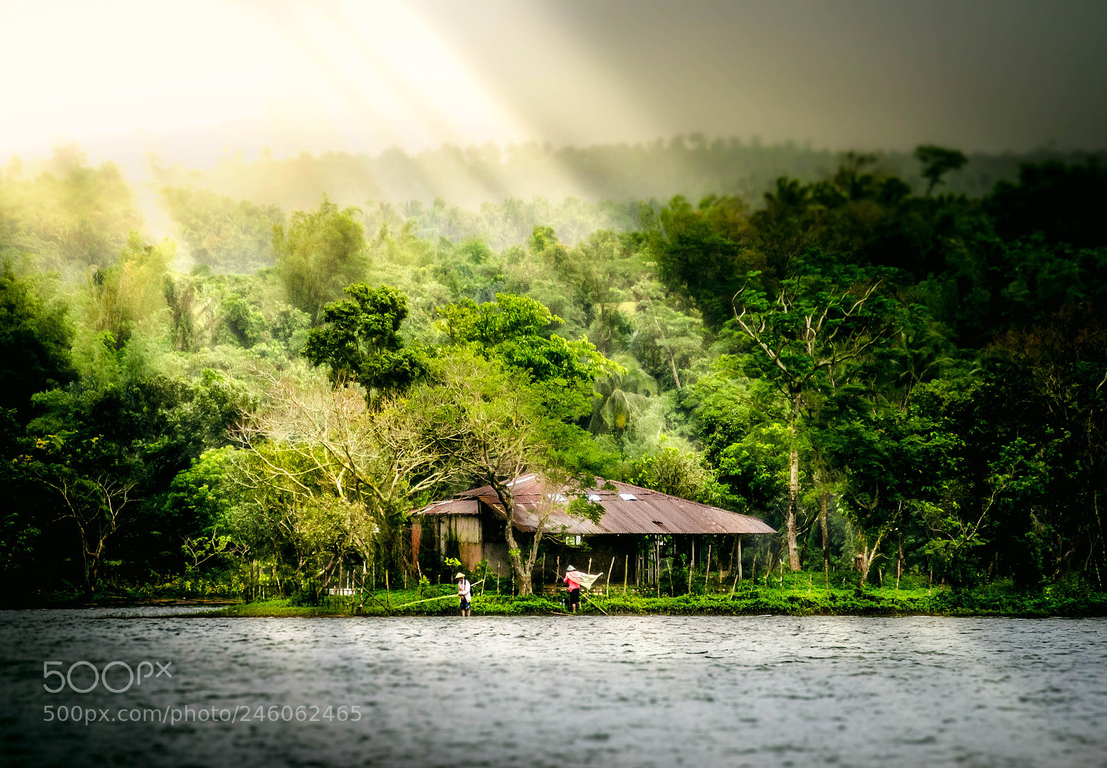 Nikon D5100 sample photo. Home photography