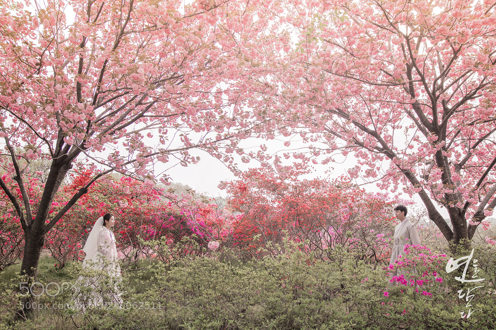 Canon EOS 5DS R sample photo. 연을담다 웨딩화보 wedding pictorial photography
