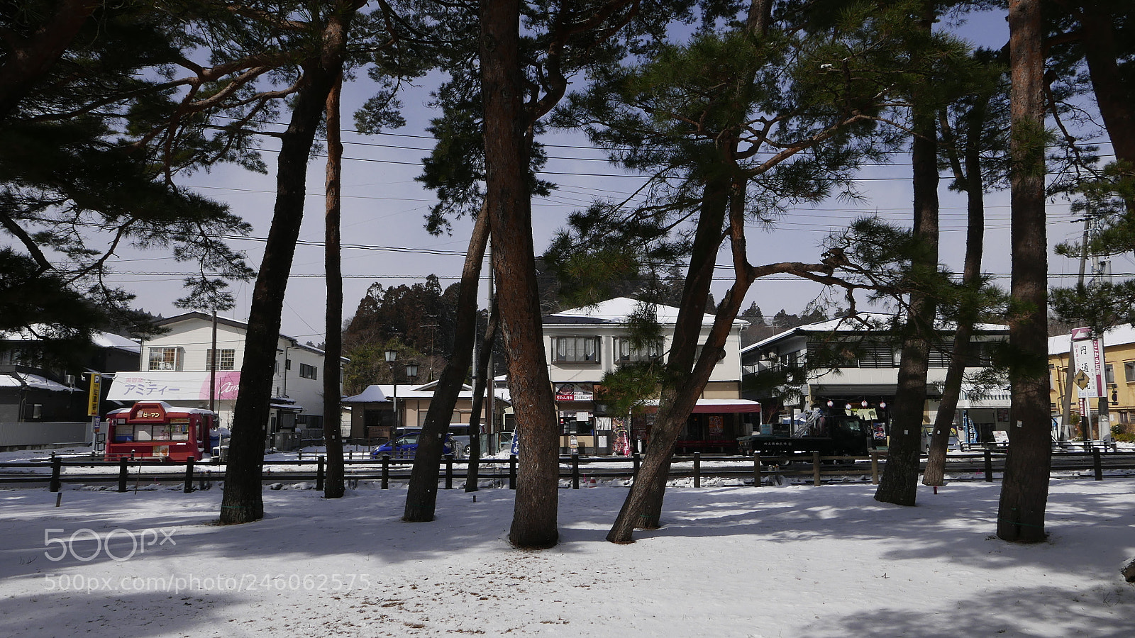 Leica D-Lux (Typ 109) sample photo. 雪后松岛。。。 photography