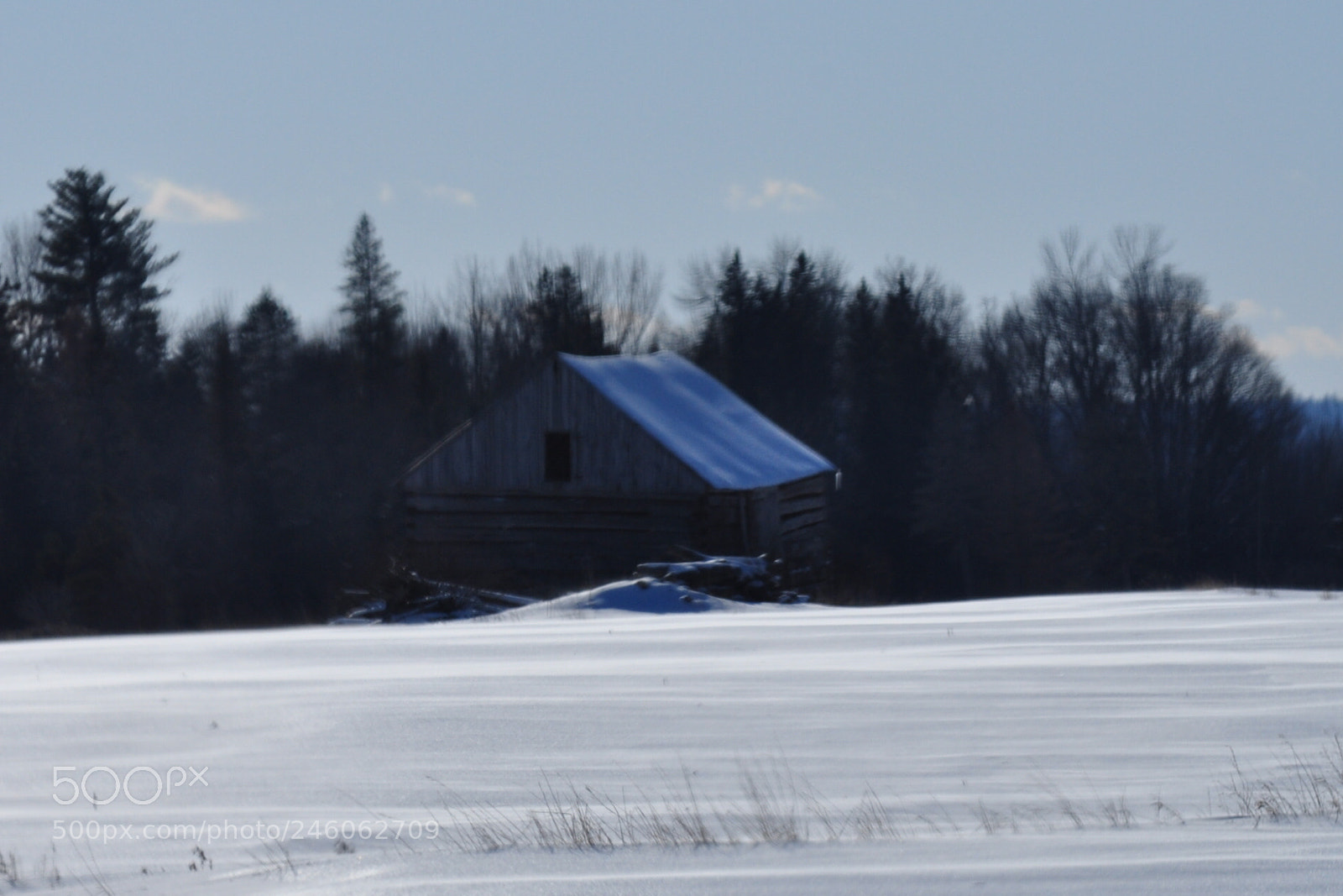 Nikon D5000 sample photo. Abandoned photography