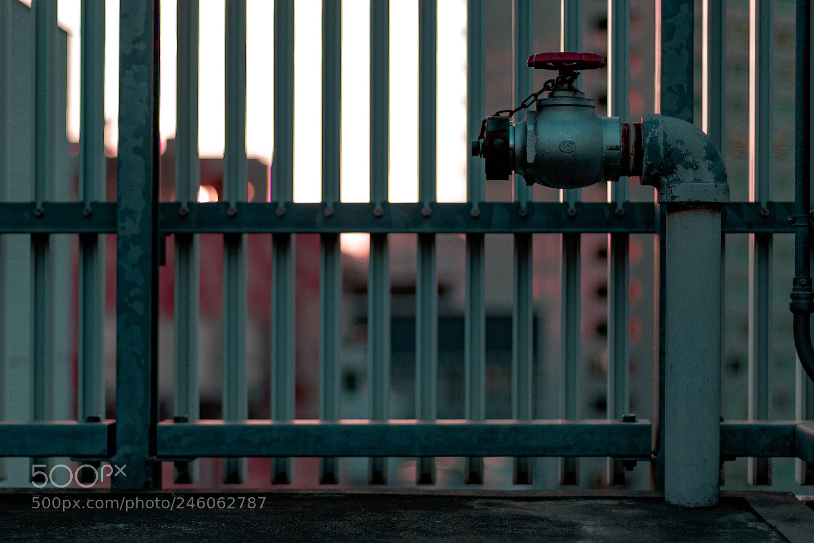 Canon EOS 7D Mark II sample photo. Fence pipe photography
