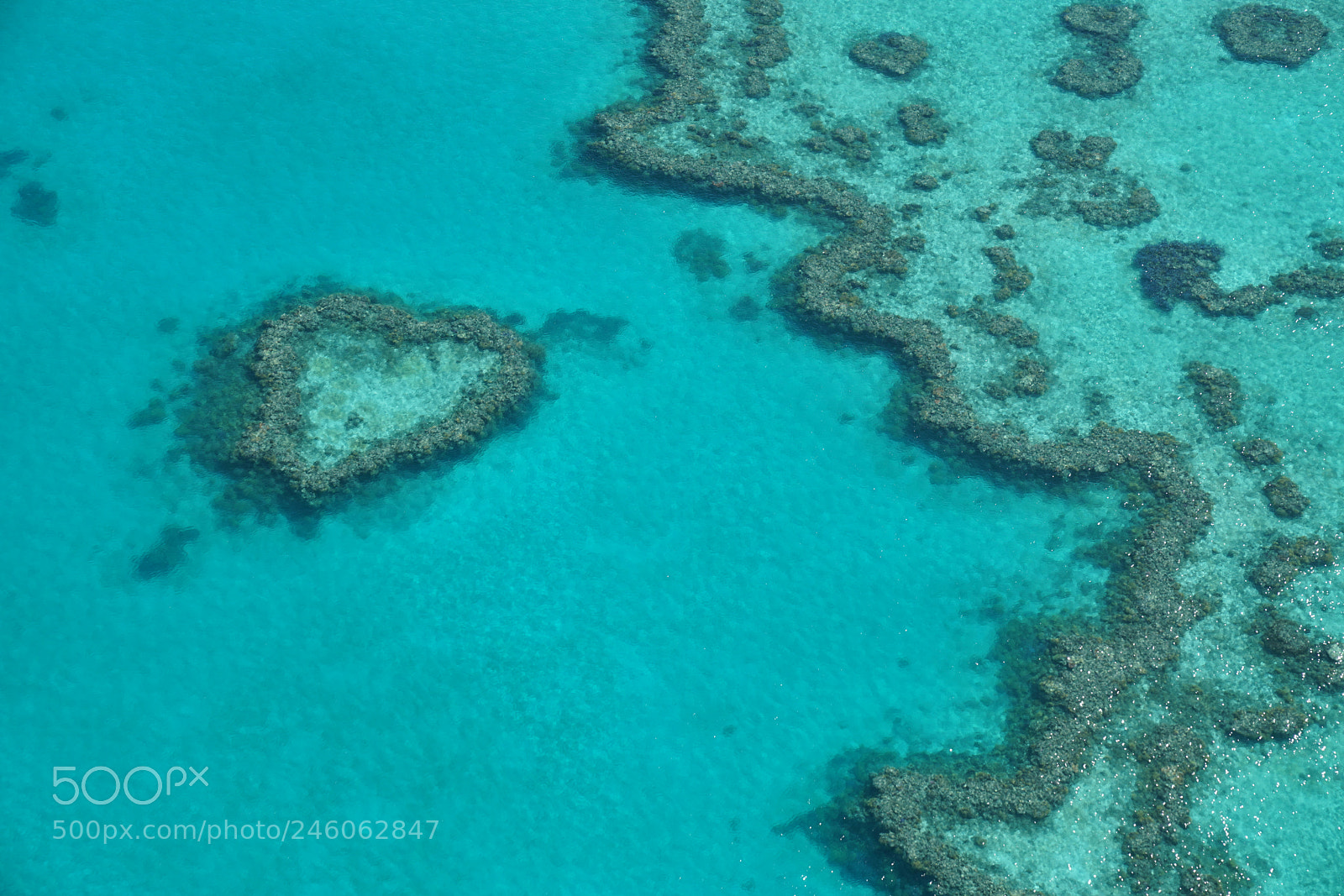 Sony a7R II sample photo. Heart reef photography