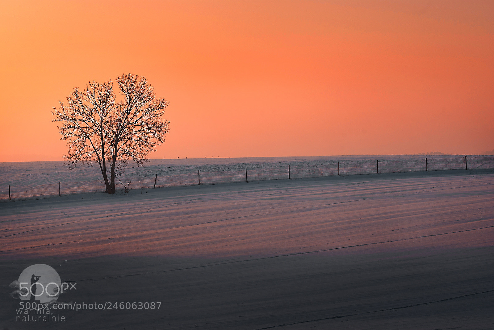Pentax K200D sample photo. Fence in a sunrise photography