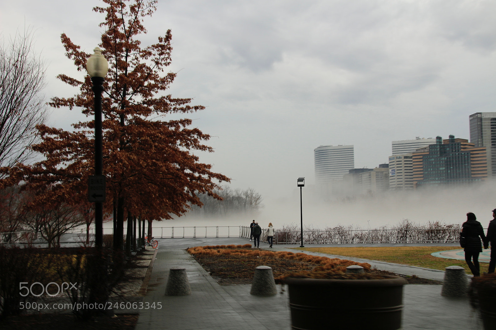 Canon EOS 100D (EOS Rebel SL1 / EOS Kiss X7) sample photo. Morning mist photography