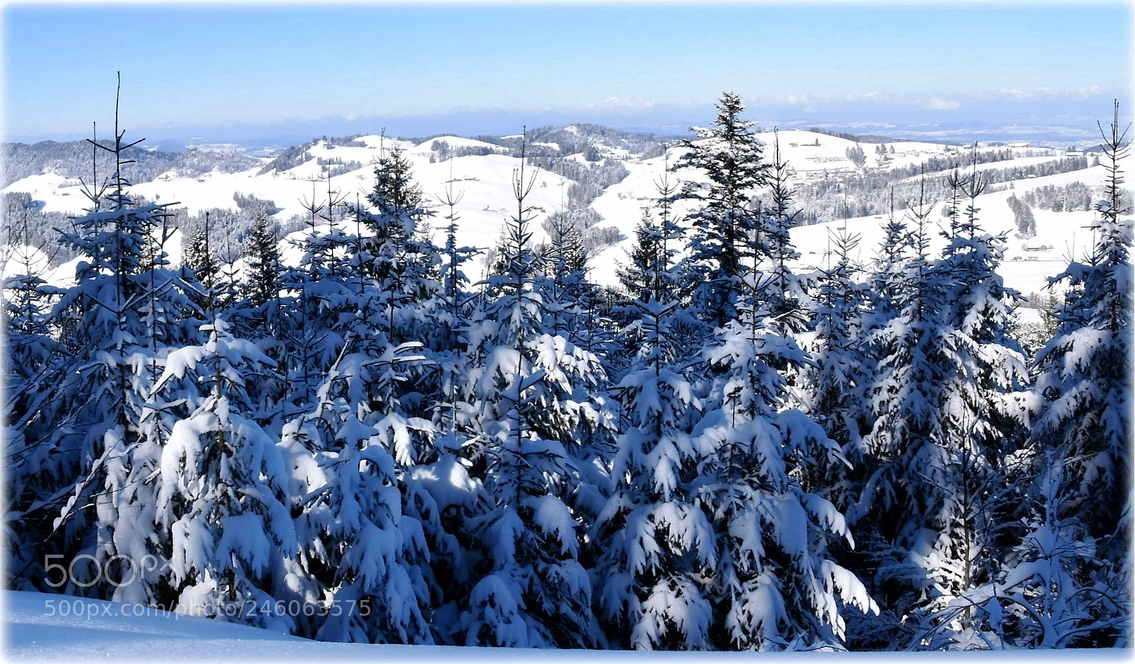Nikon D7200 sample photo. "fresh-snow" photography