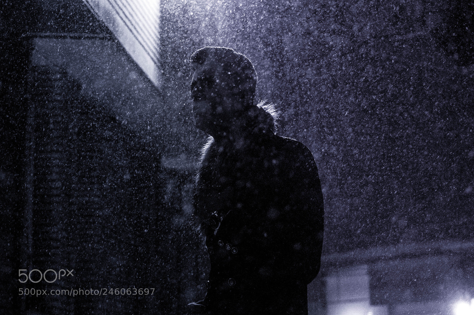 Nikon D90 sample photo. Untitled photography