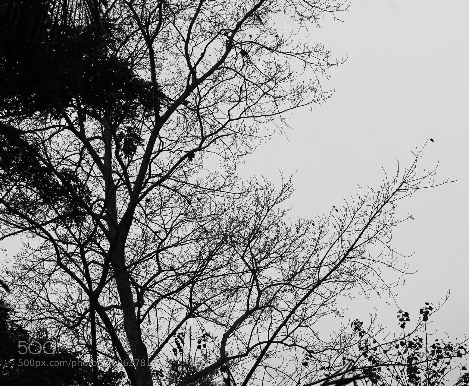 Canon EOS 1300D (EOS Rebel T6 / EOS Kiss X80) sample photo. Untitled photography