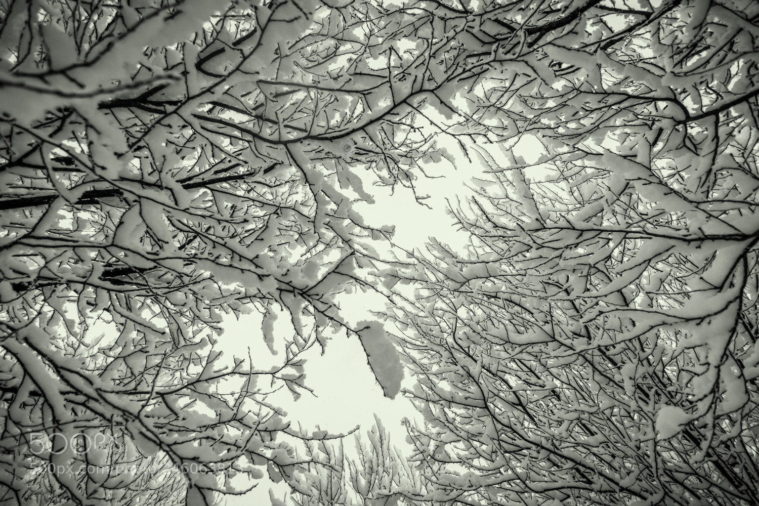 Nikon D7100 sample photo. Invierno photography