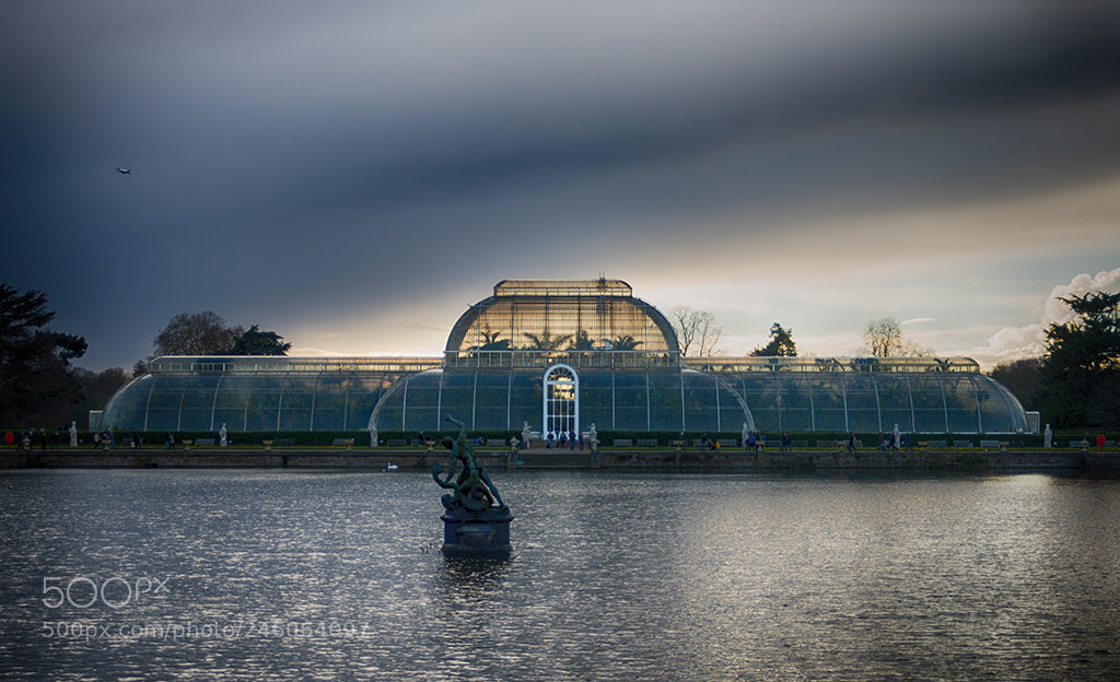 Nikon D800 sample photo. Glasshouse at kew gardens photography