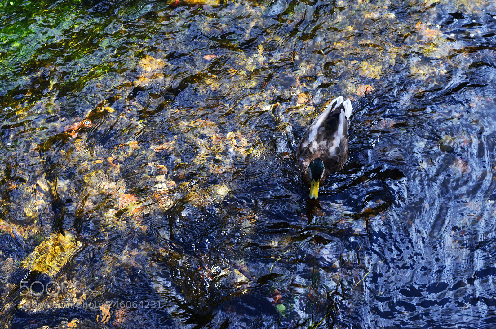Nikon D3200 sample photo. Flow photography