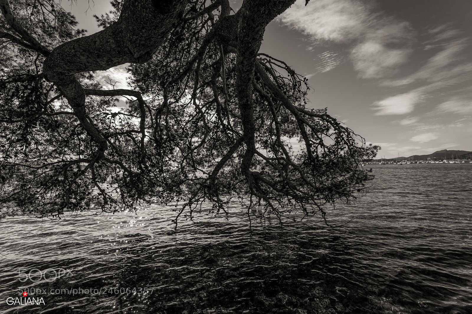 Sony a7 sample photo. Rozando el mar photography