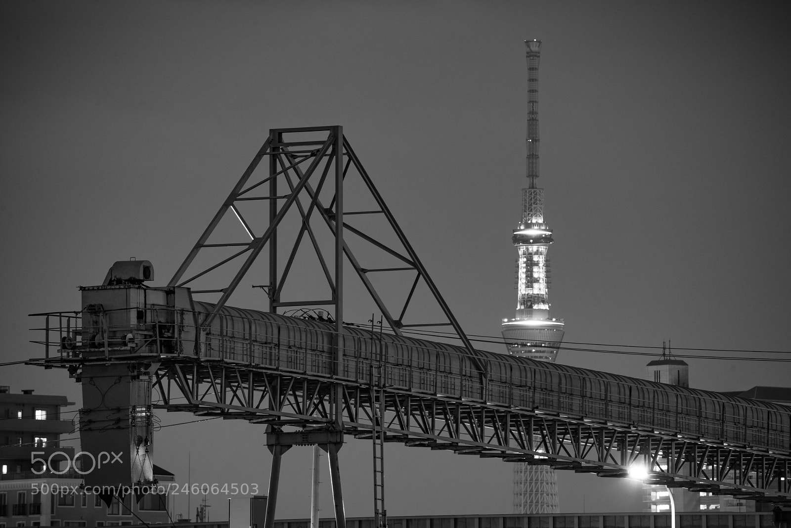 Nikon D800 sample photo. Tokyo night photography