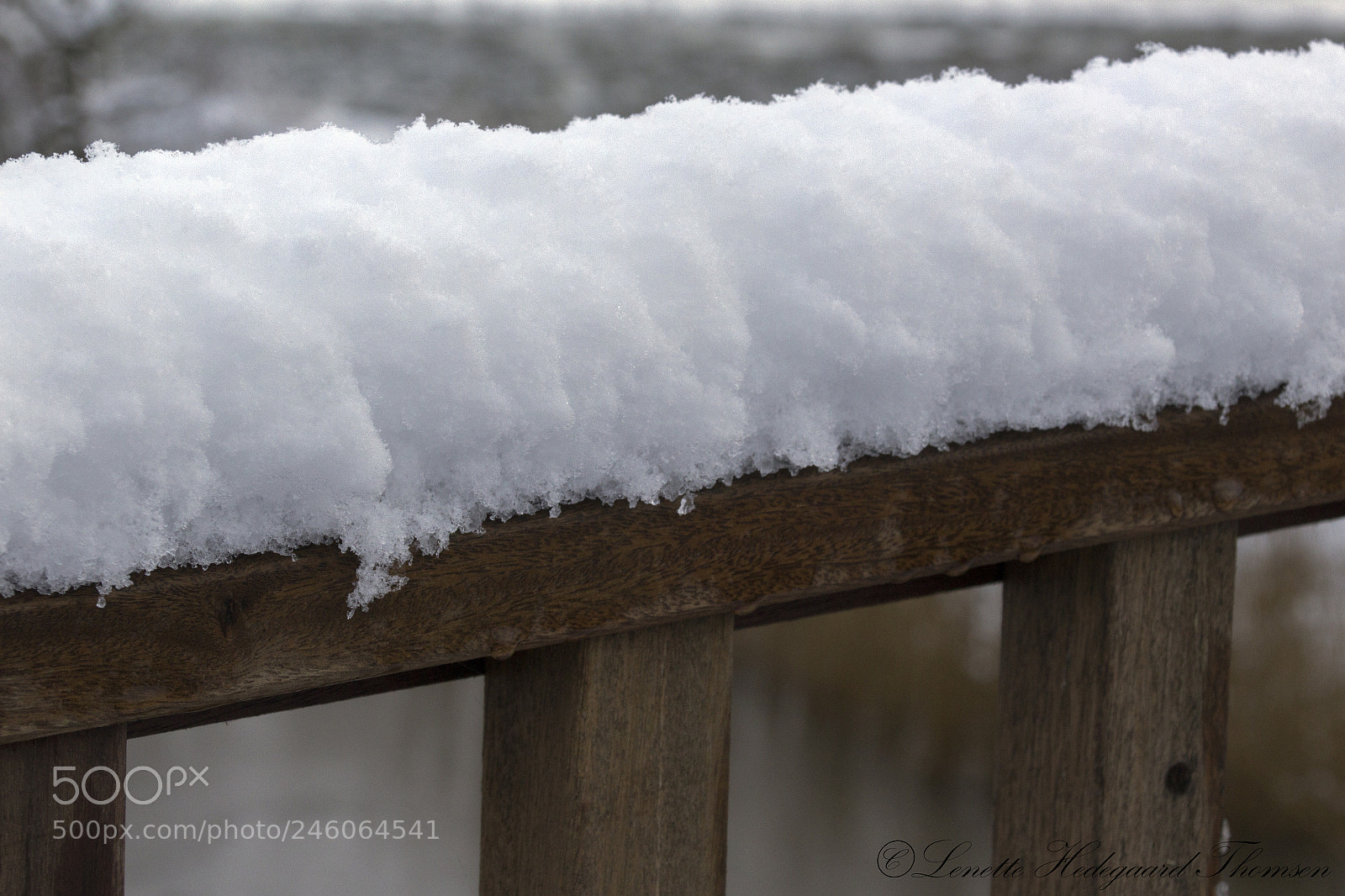 Canon EOS 1200D (EOS Rebel T5 / EOS Kiss X70 / EOS Hi) sample photo. Snow on a fence photography