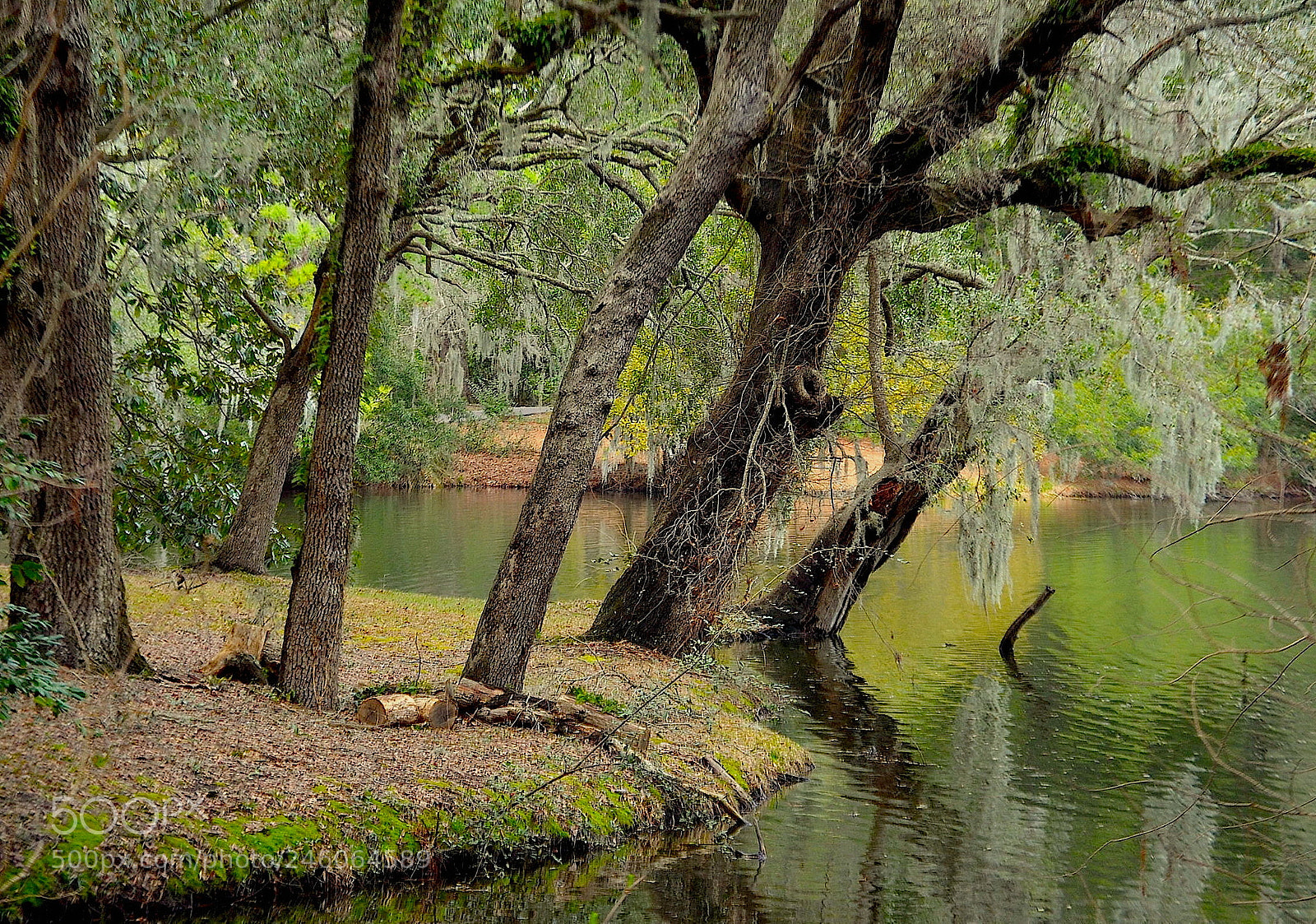 Nikon D5100 sample photo. By the lake at photography