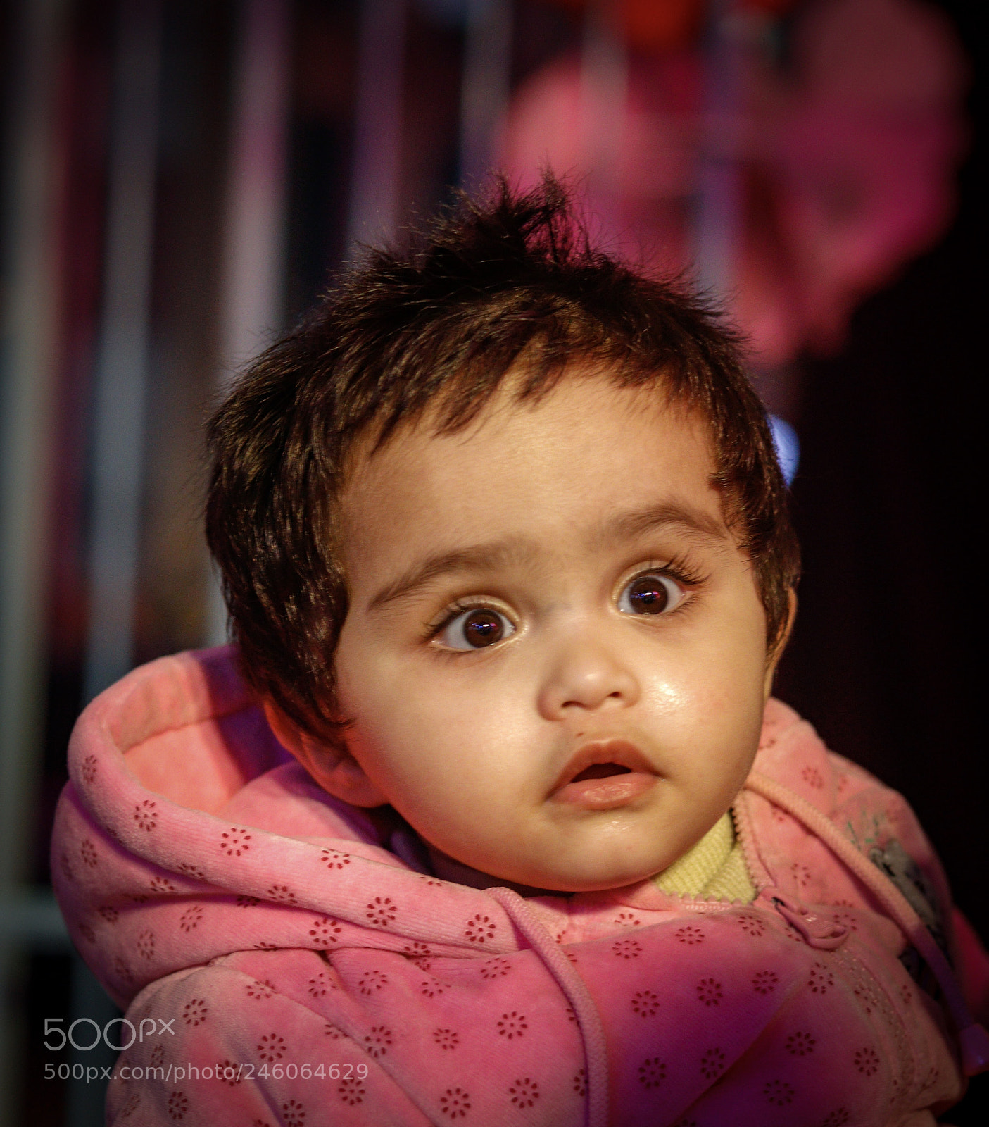 Canon EOS 77D (EOS 9000D / EOS 770D) sample photo. Don't scare me photography