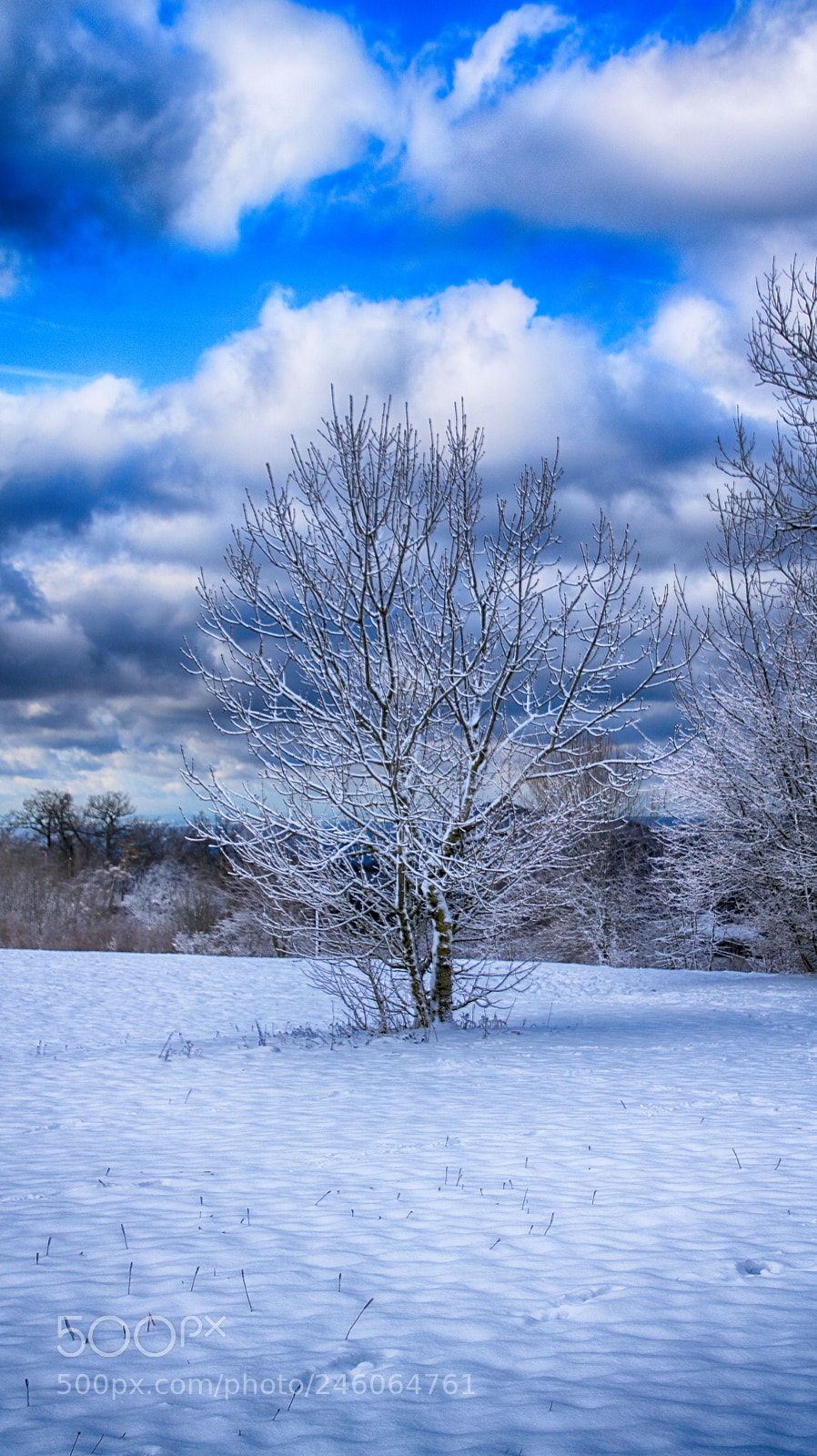 Canon EOS 760D (EOS Rebel T6s / EOS 8000D) sample photo. Winter time photography