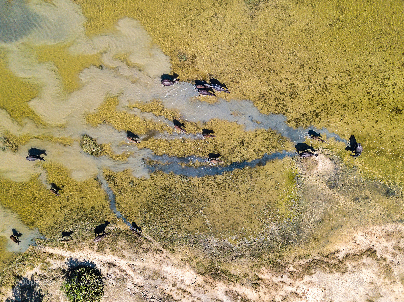 DJI FC220 sample photo. Top view at water photography