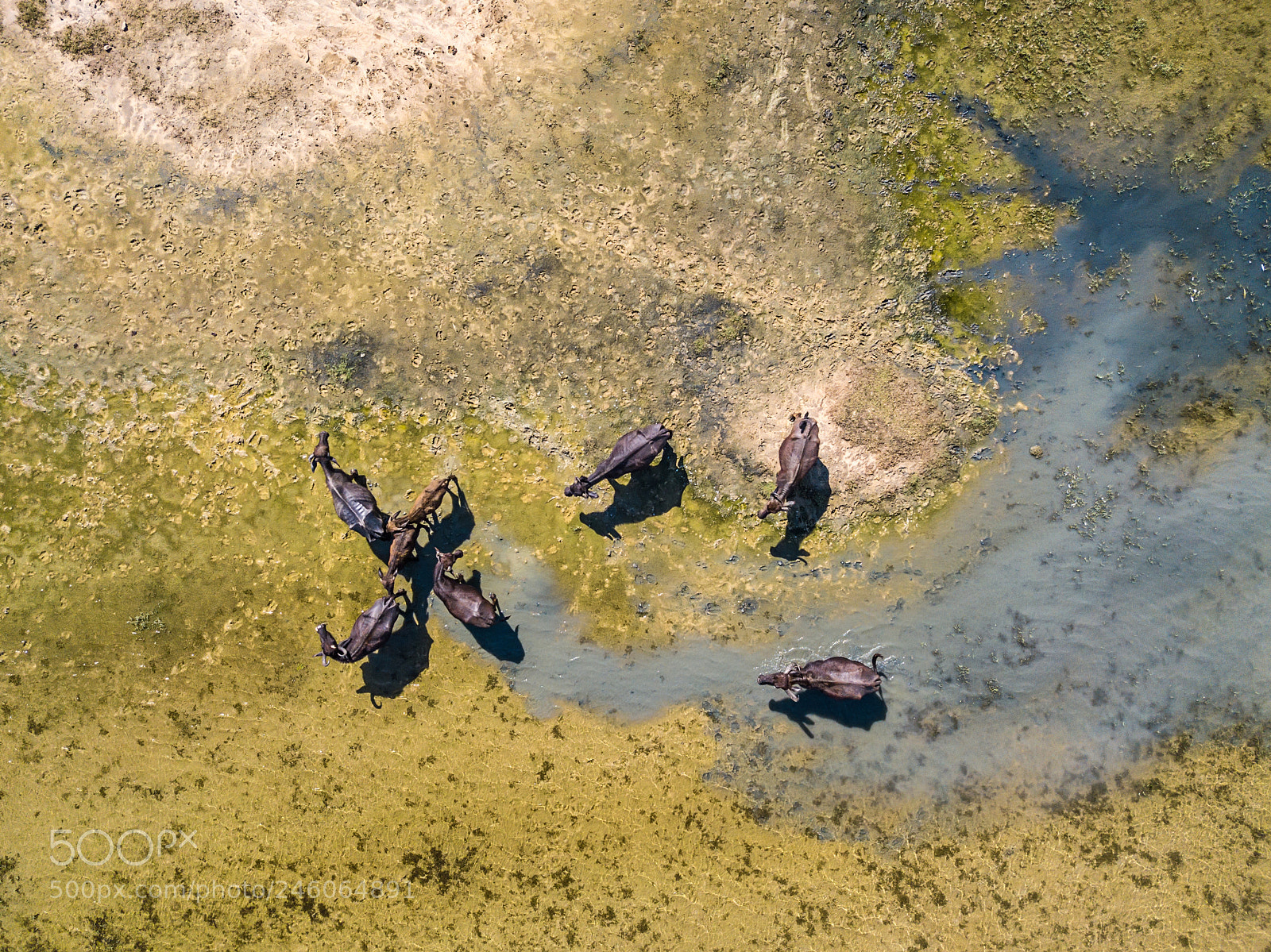 DJI FC220 sample photo. Top view at water photography
