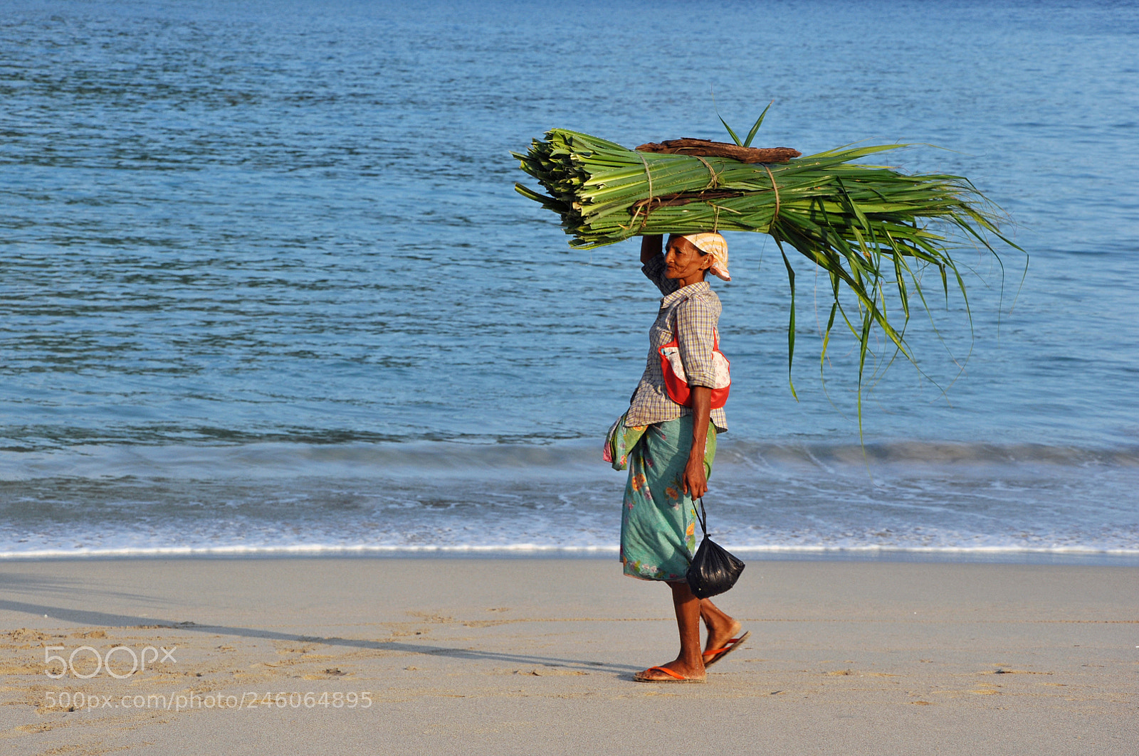Nikon D5000 sample photo. Woman carrying plants photography