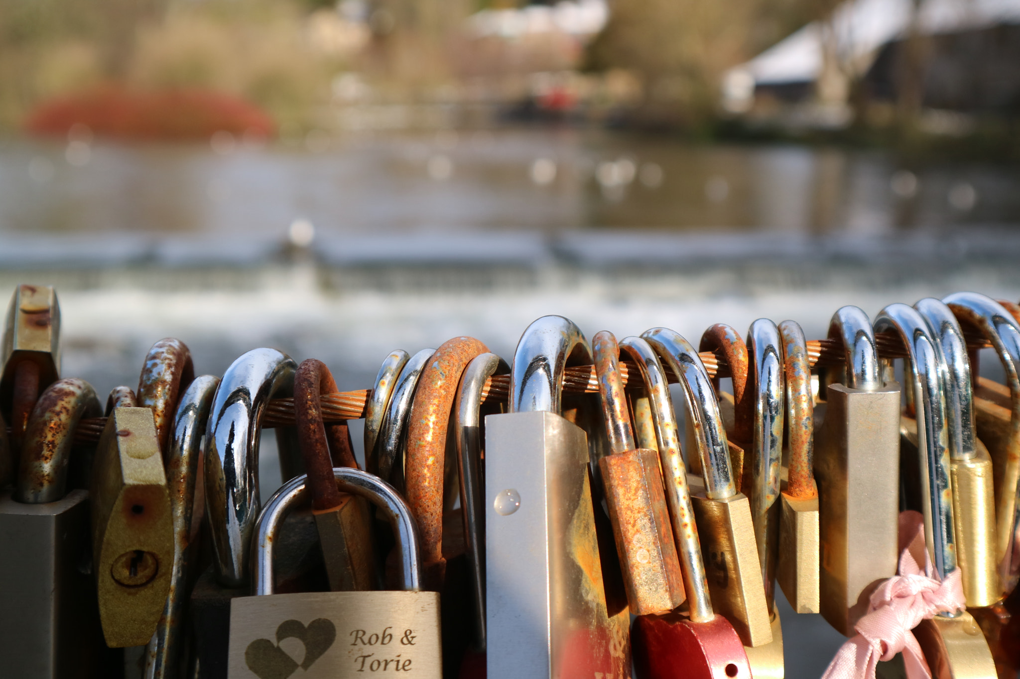 Canon EOS M3 sample photo. Padlocks on a bridge photography
