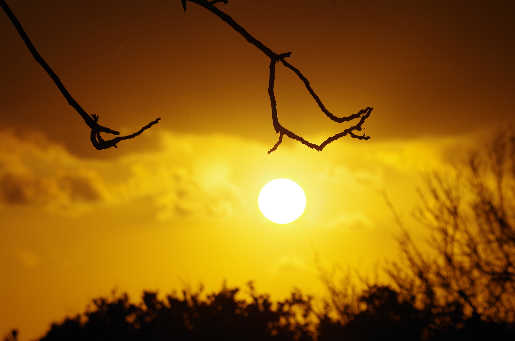 Pentax K-50 sample photo. Waiting photography