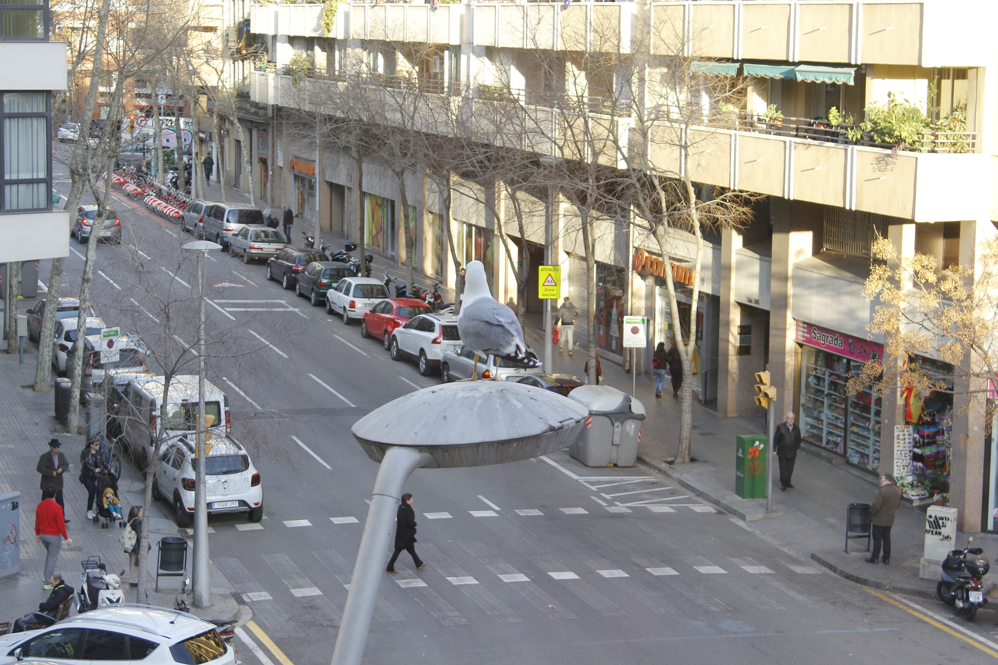 Canon EF-S 18-55mm F3.5-5.6 IS sample photo. Nos vigilan photography