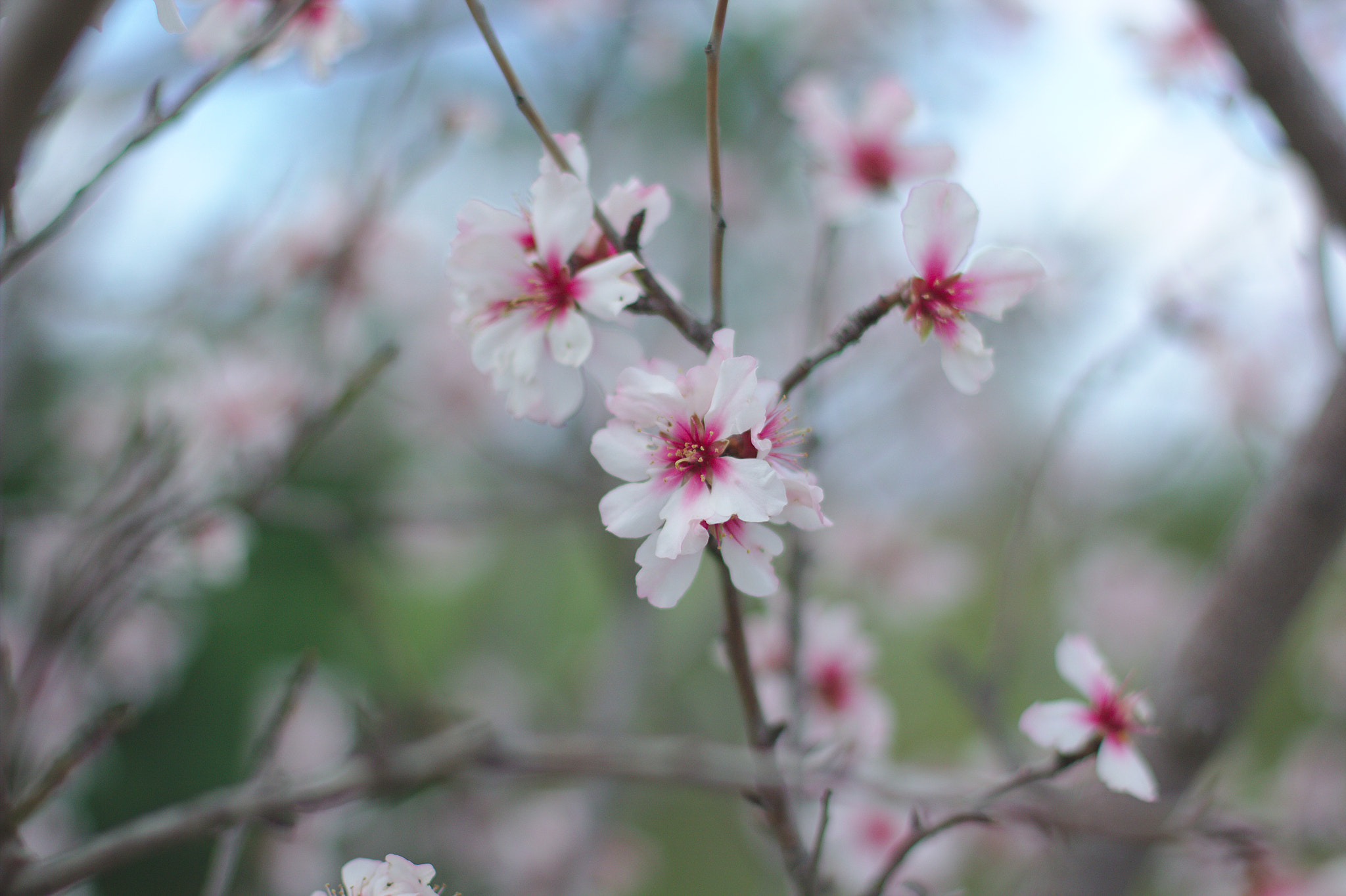 Canon EOS 60D + Canon EF 50mm F1.4 USM sample photo. It's coming... photography