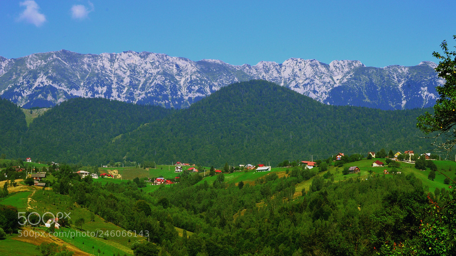 Nikon D3200 sample photo. Untitled photography