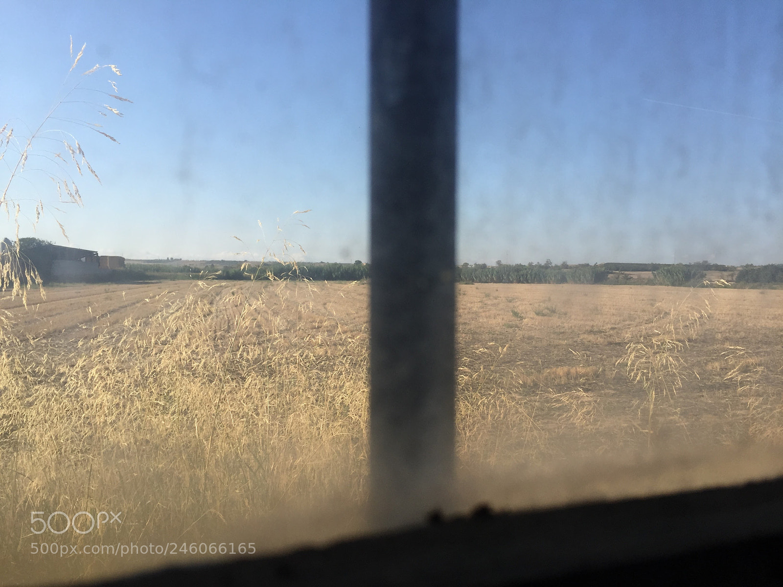Apple iPhone 6 sample photo. El campo photography