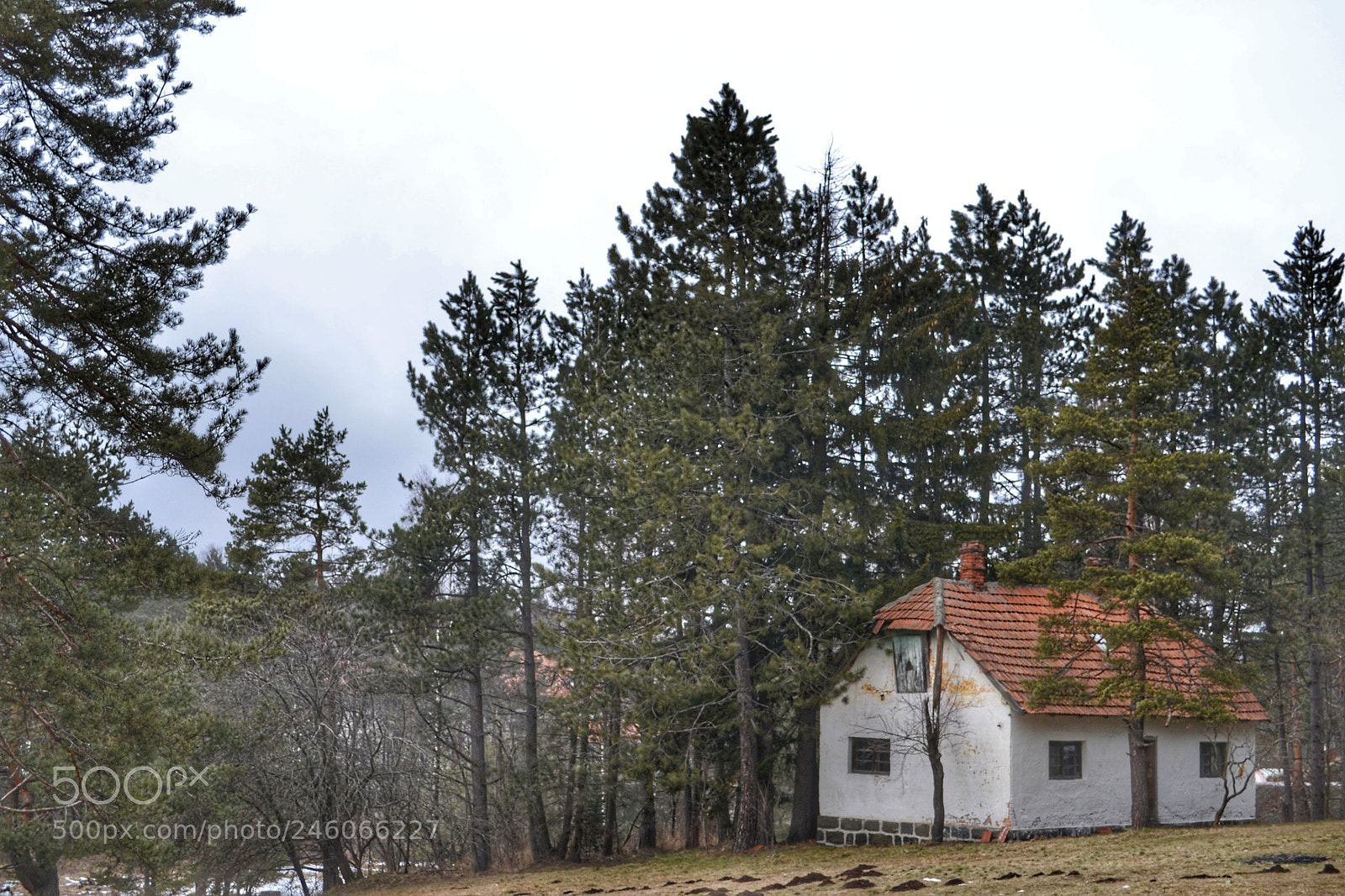 Nikon D3100 sample photo. Untitled photography