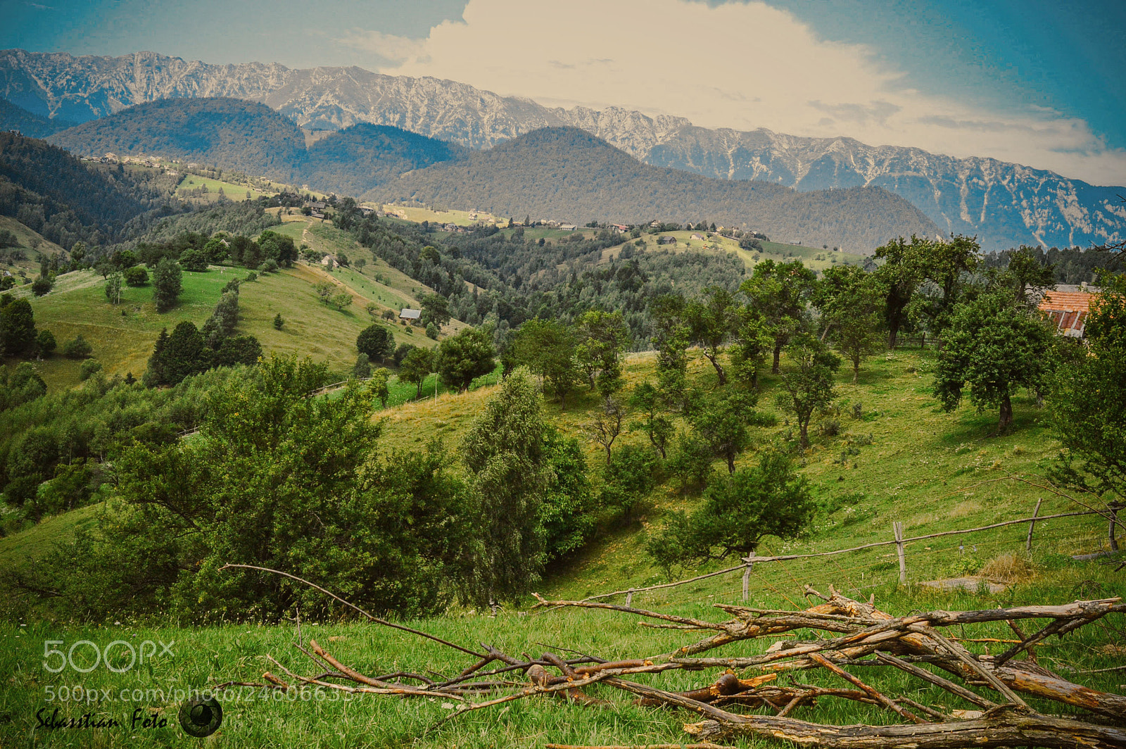 Nikon D3200 sample photo. Re photography