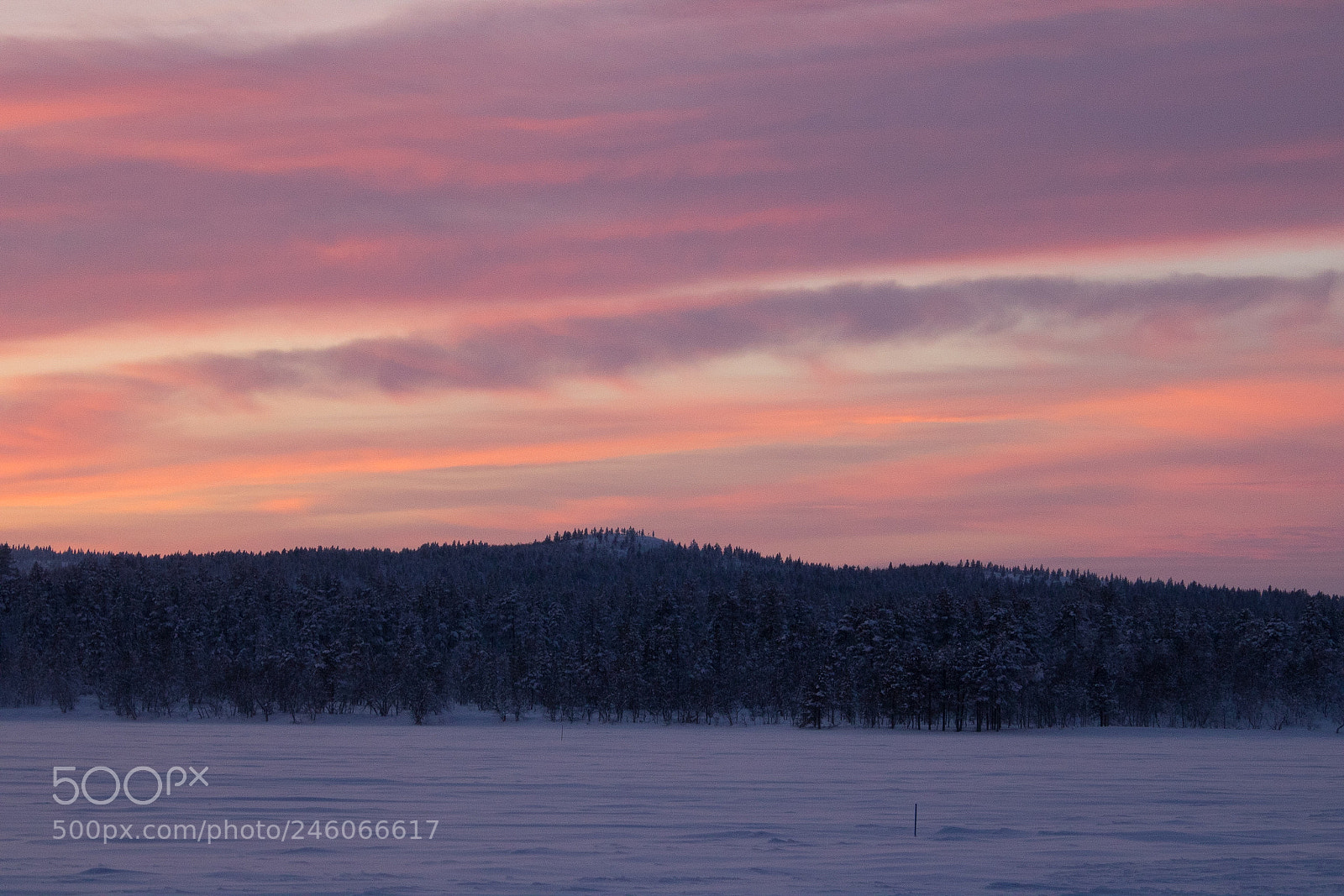Canon EOS 750D (EOS Rebel T6i / EOS Kiss X8i) sample photo. Amazing color! amazing sunset! photography