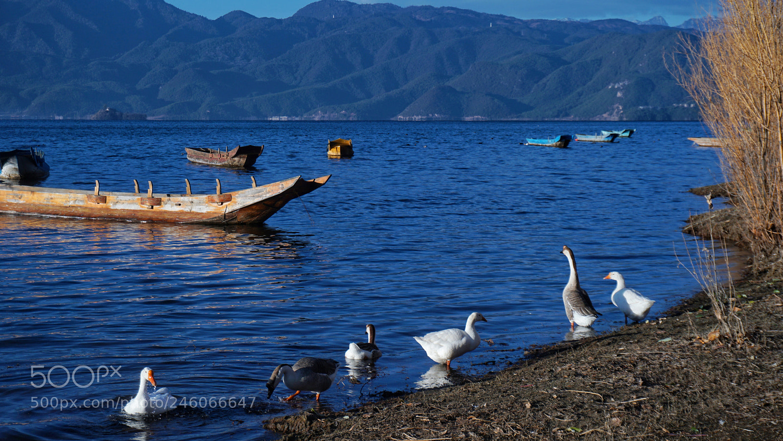 Sony a6300 sample photo. Lugu lake photography
