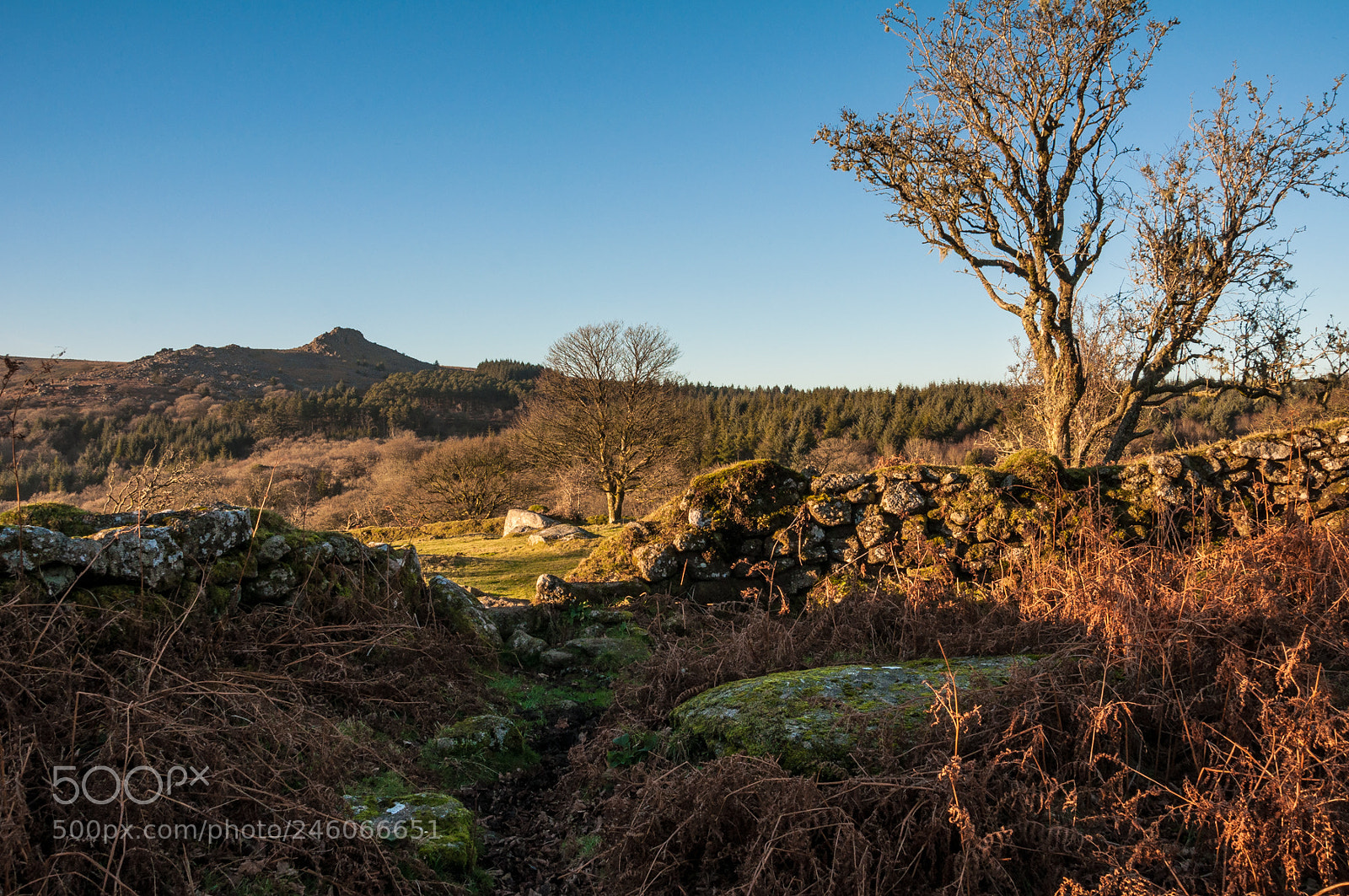 Nikon D5000 sample photo. View through a dartmoor photography