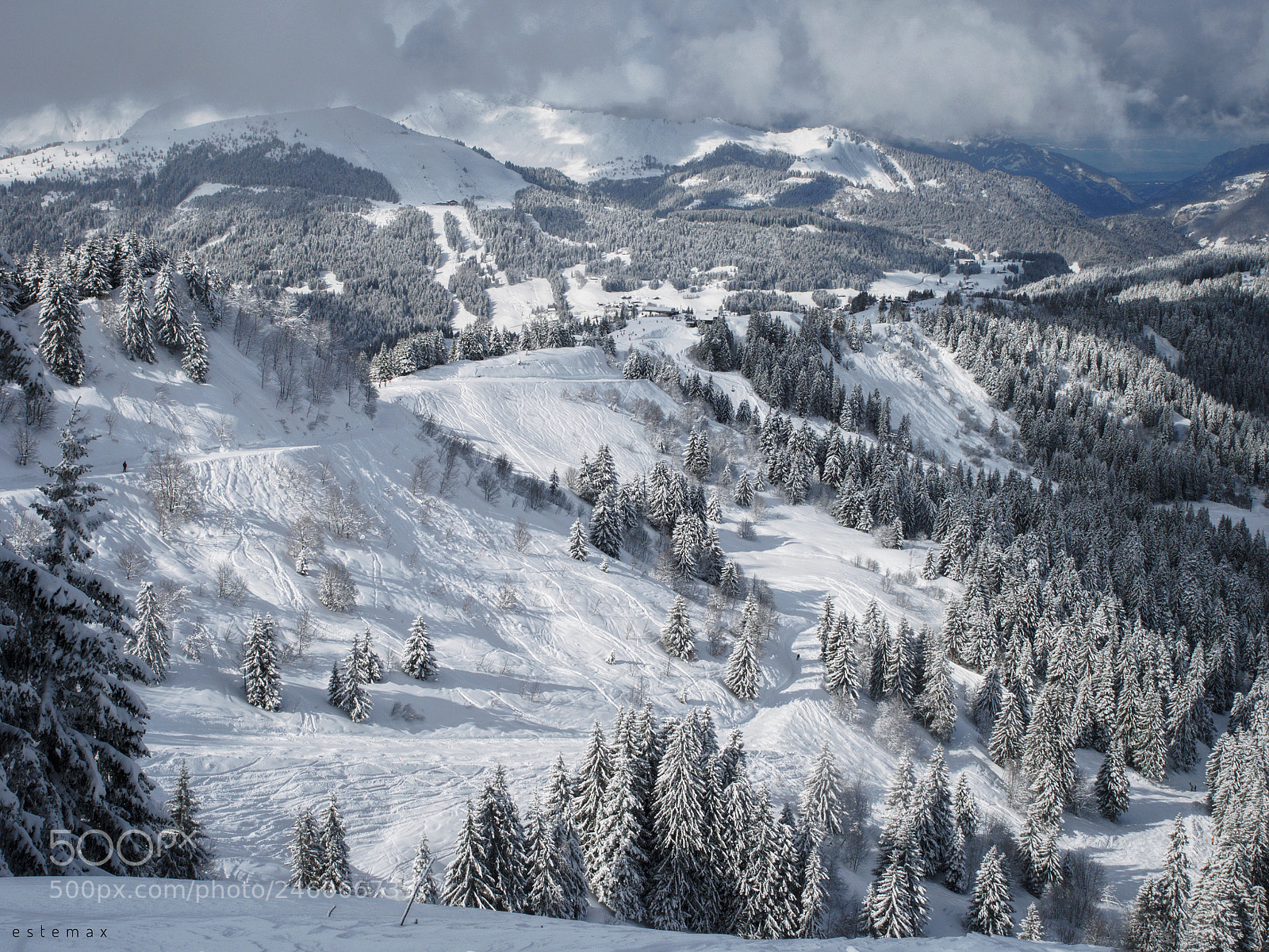 Olympus OM-D E-M1 sample photo. Tout blanc  photography