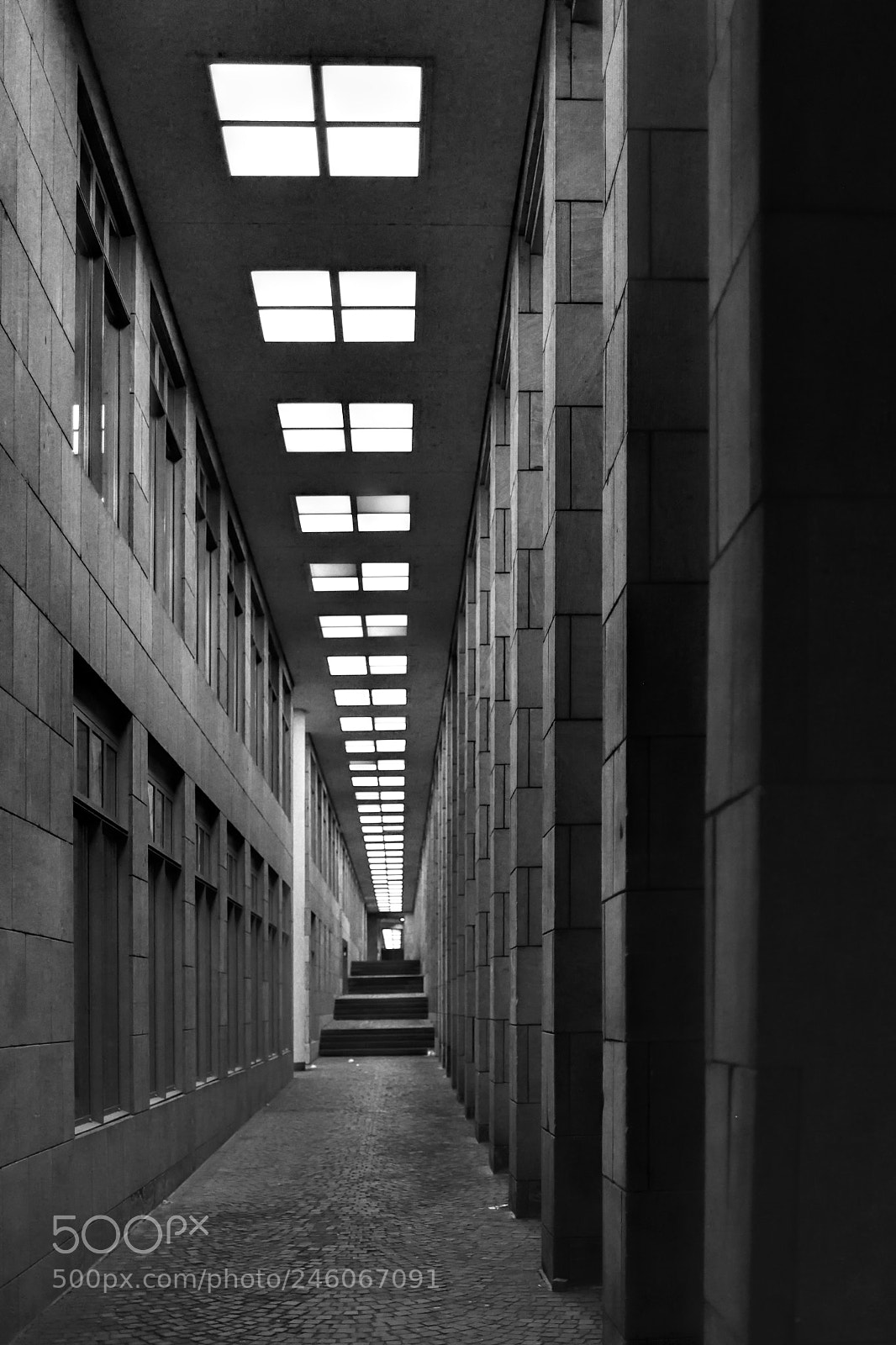 Nikon D810 sample photo. The long, long corridor photography