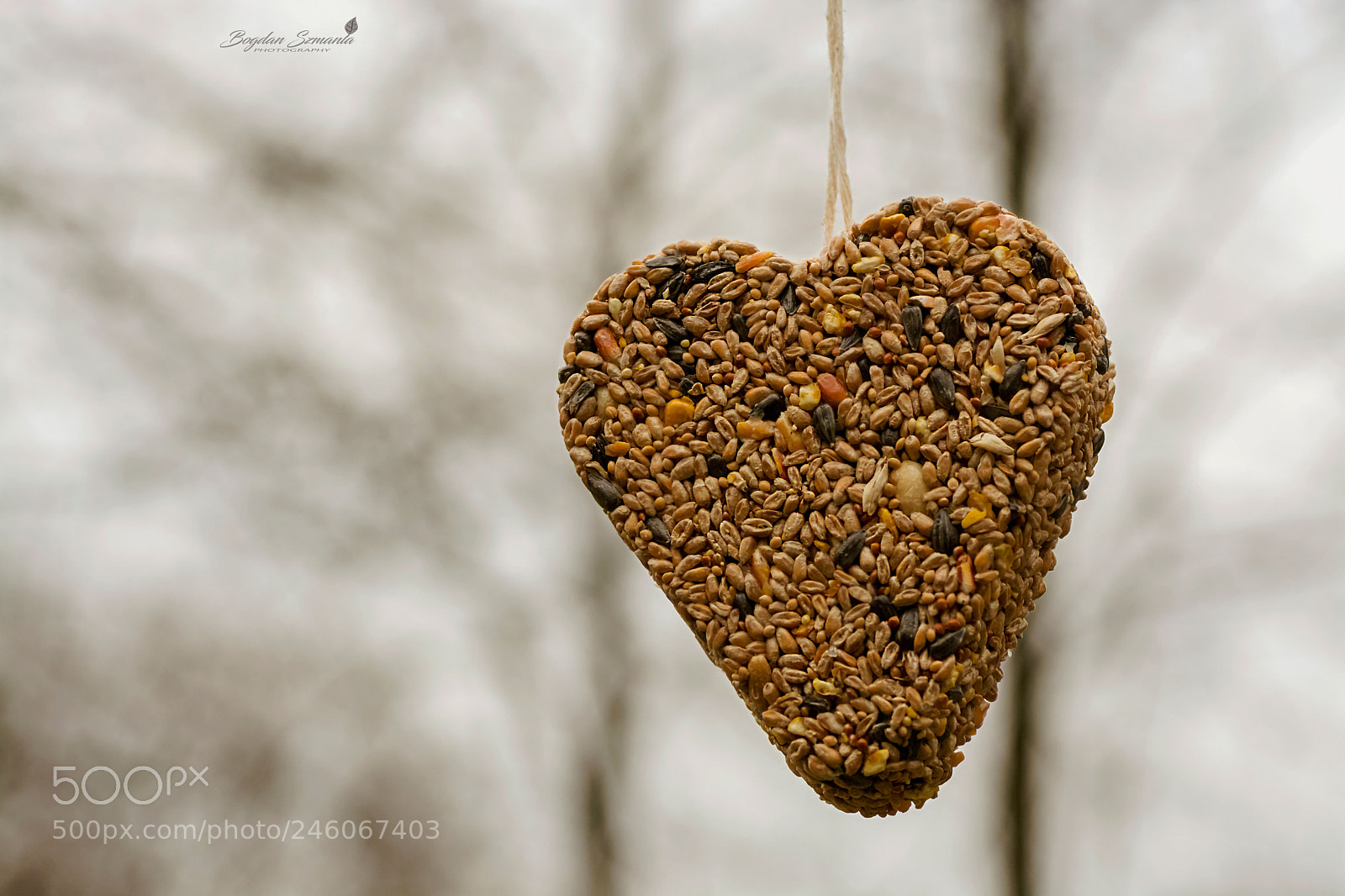 Nikon D5200 sample photo. Valentine photography