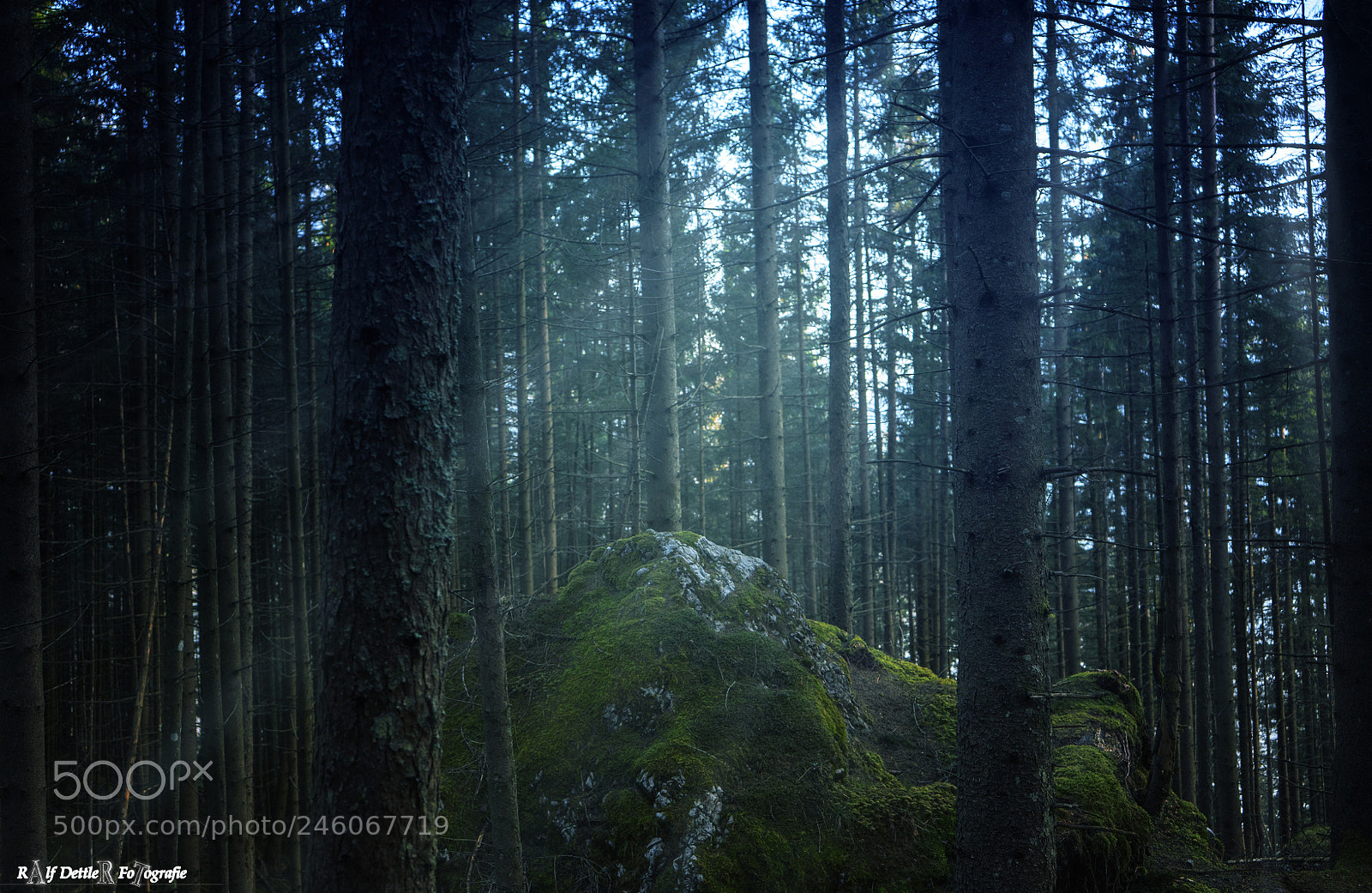 Sony a7 II sample photo. Berchtesgadener wald photography