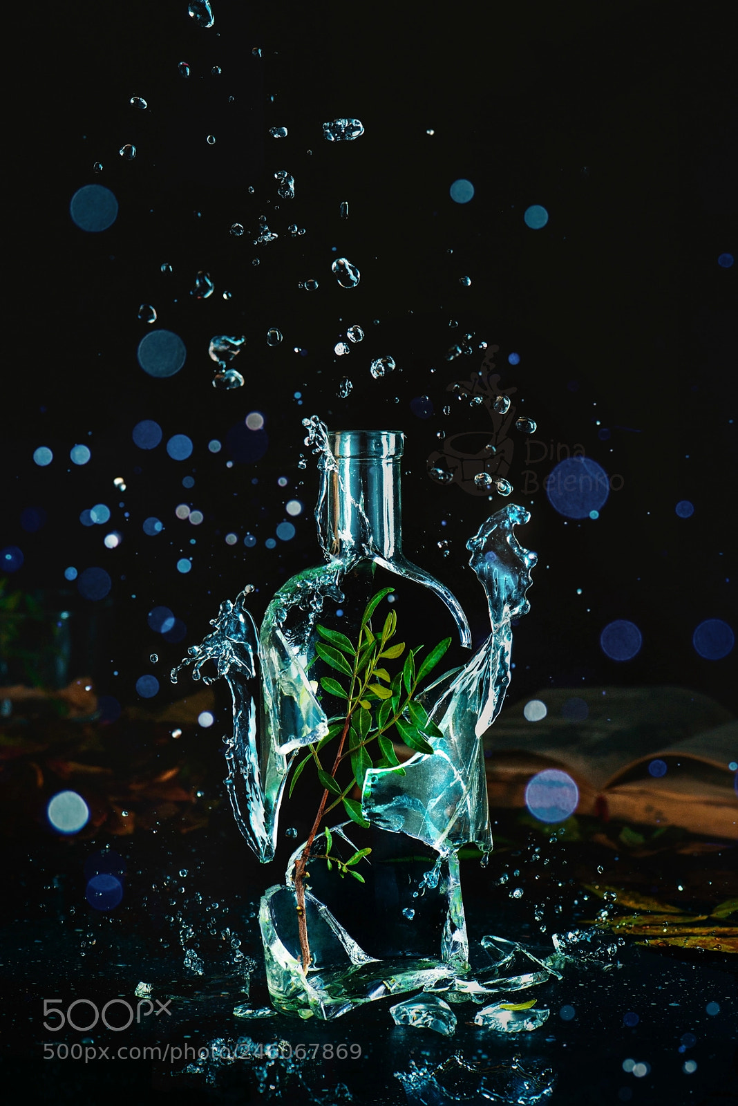 Nikon D800 sample photo. Bottle full of spring photography