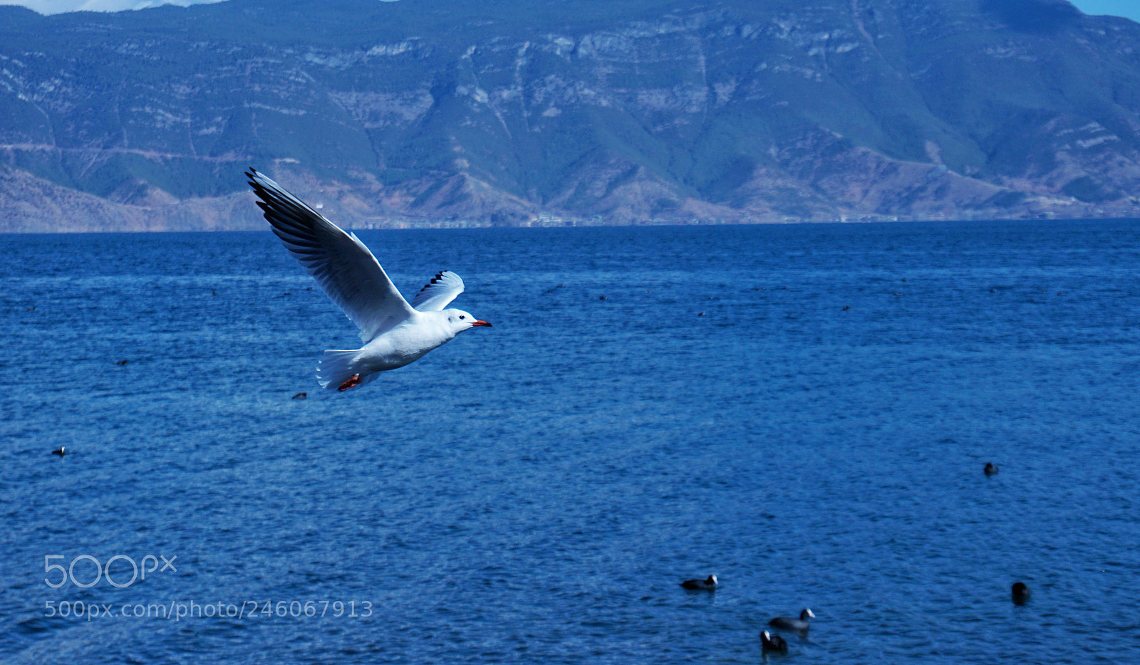 Sony a6300 sample photo. Lugu lake 泸沽湖 photography